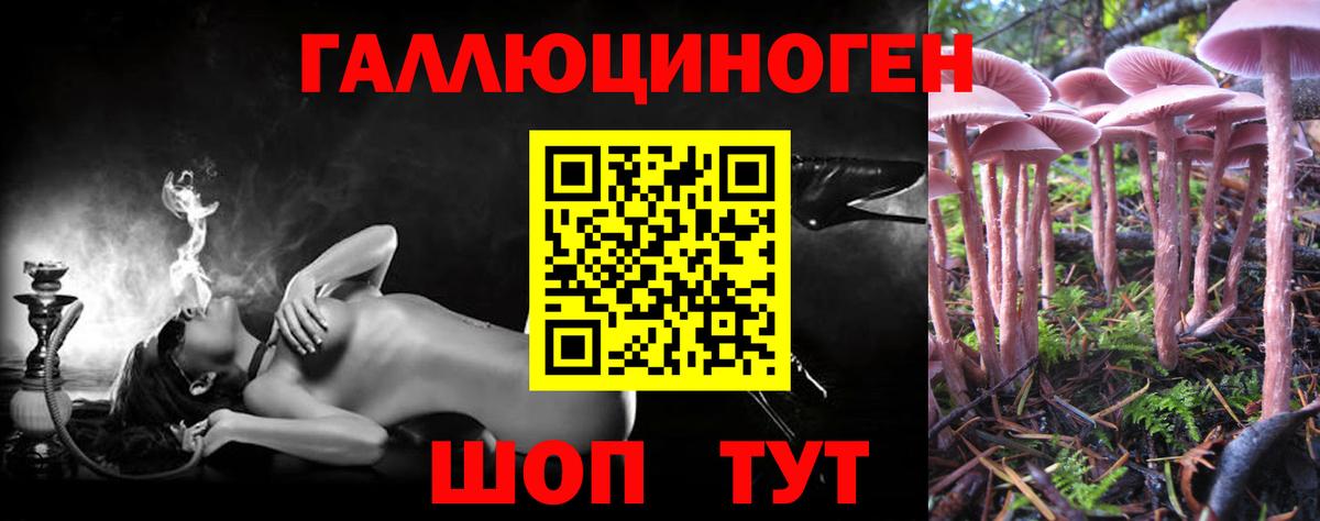 Галлюциногенные грибы Cubensis Амурск
